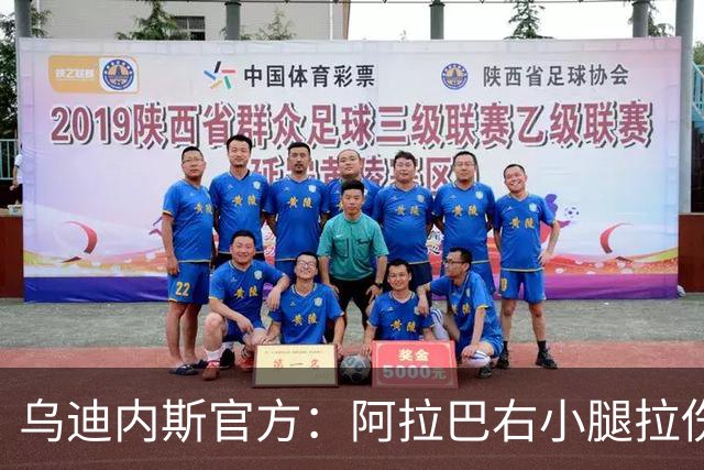 乌迪内斯官方：阿拉巴右小腿拉伤，已开始进行康复