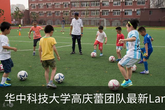 华中科技大学高庆蕾团队最新Lancet子刊