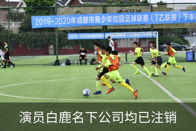 演员白鹿名下公司均已注销